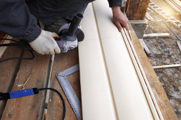 Best Aluminum Siding Installation  in Elk Creek, KY